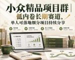 小众精品项目群｜低内卷长期赛道，单人可落地细分项目持续分享